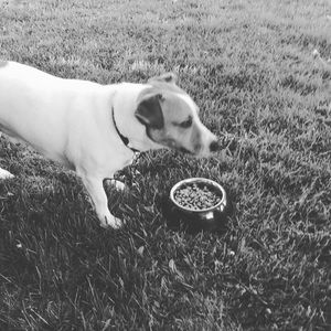 Meet your Posher, Seth